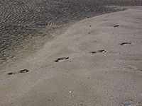 Footsteps