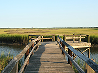 Marsh